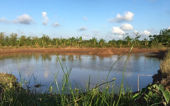 Từ một nghiên cứu về việc quản lý đất công thời thuộc Pháp - vài kiến nghị